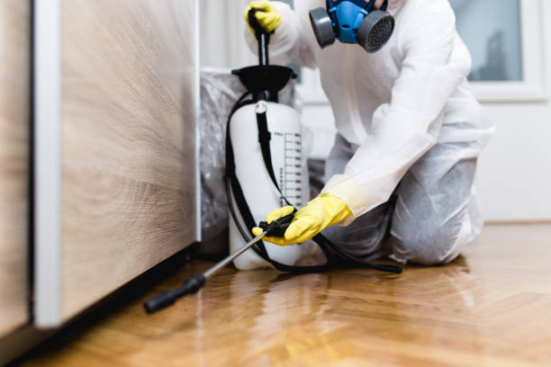 Best Termite Control Services  in Dry Run, OH