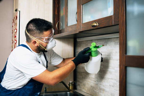 Best Pest Control for Restaurants  in Dry Run, OH