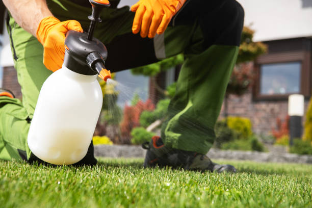Best Ant Control Services  in Dry Run, OH