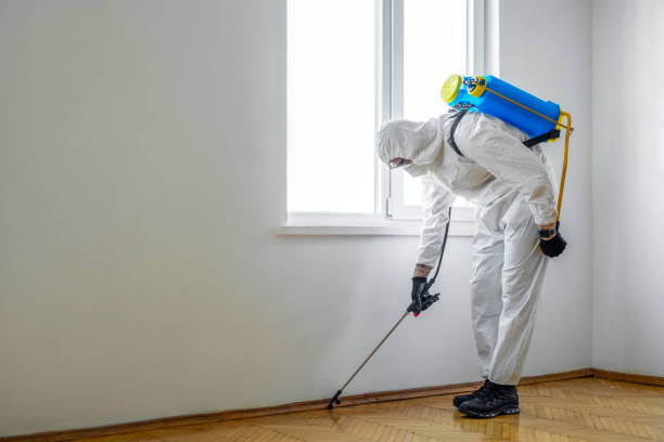 Best Pest Removal Services  in Dry Run, OH