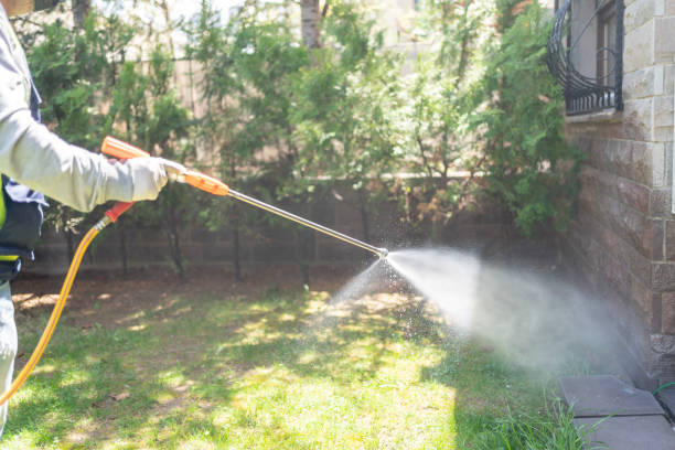 Best Termite Control Services  in Dry Run, OH