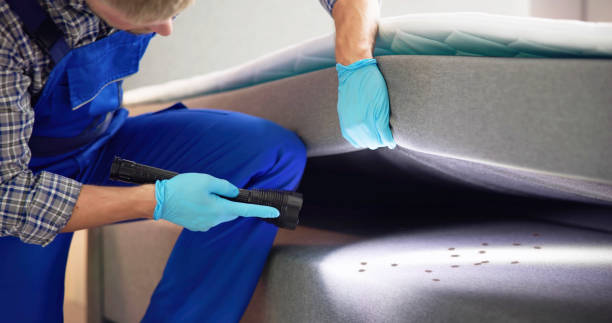 Best Best Pest Control Companies  in Dry Run, OH