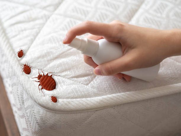 Best Local Pest Control Services  in Dry Run, OH