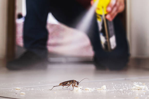 Best Affordable Pest Control Services  in Dry Run, OH